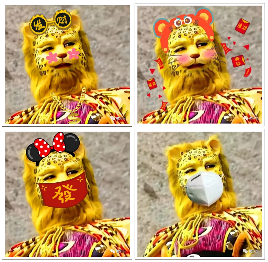 金钱豹是什么梗?插图4 金钱豹是什么梗?